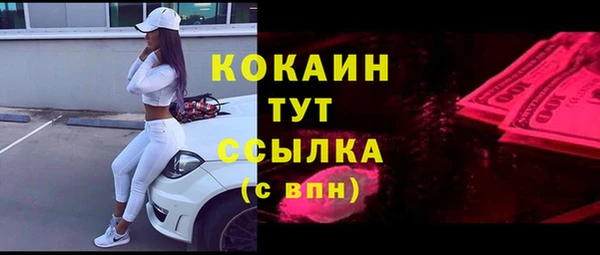 МДПВ Краснослободск