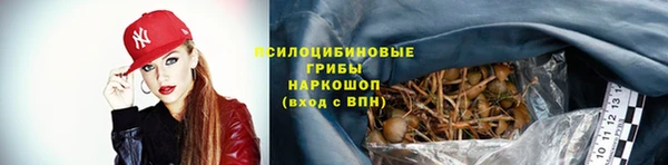 МДПВ Краснослободск