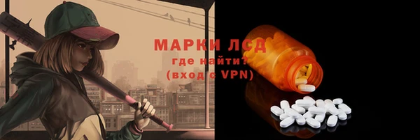 МДПВ Краснослободск