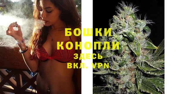 МДПВ Краснослободск