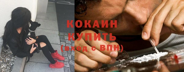 МДПВ Краснослободск