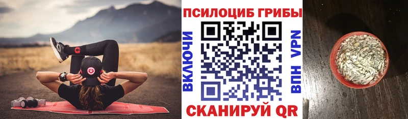 Галлюциногенные грибы MAGIC MUSHROOMS  Купить закладки  Анива 